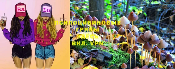 каннабис Абаза