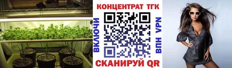 OMG tor  Ханты-Мансийск  ТГК вейп 