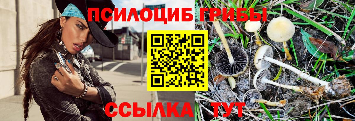 Ханты-Мансийск  Галлюциногенные грибы ЛСД  Псилоцибиновые грибы ЛСД  даркнет сайт  Вход с VPN 